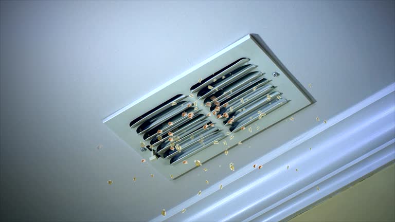 Best Air Vent Cleaning Services  in Lafayette, TN